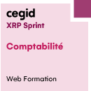 Web : Dynamisez vos reportings - Cegid XRP Sprint