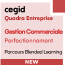 Gestion Commerciale - Perfectionnement - Cegid Quadra Entreprise