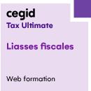 Web : Saisie des liasses comptables et fiscales - Cegid Tax Ultimate