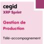 Gestion de Production - Accompagnement à distance - Cegid XRP Sprint